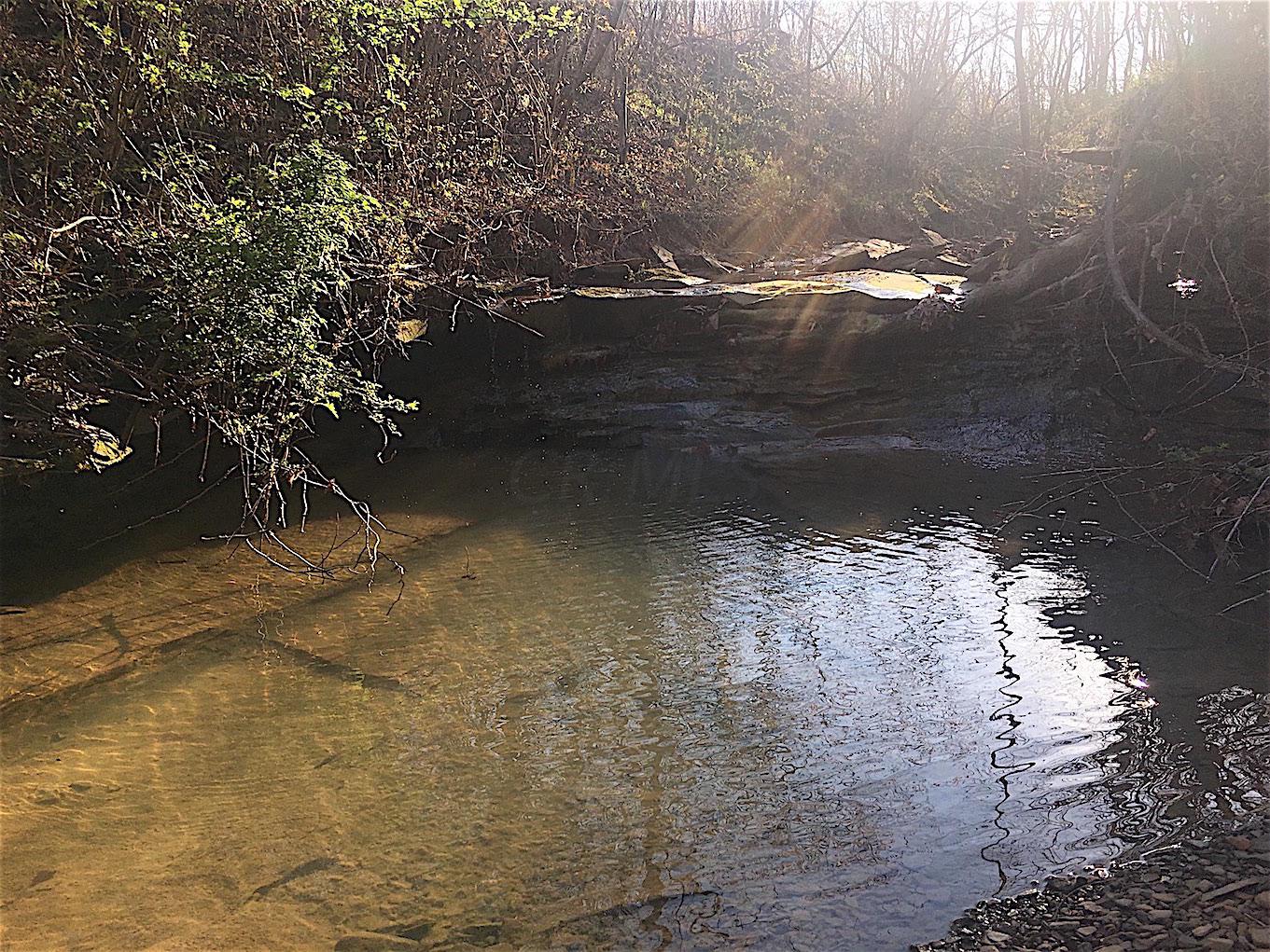 56184 Log Pile Road Ray, OH 45672 - Photo 23 of 35