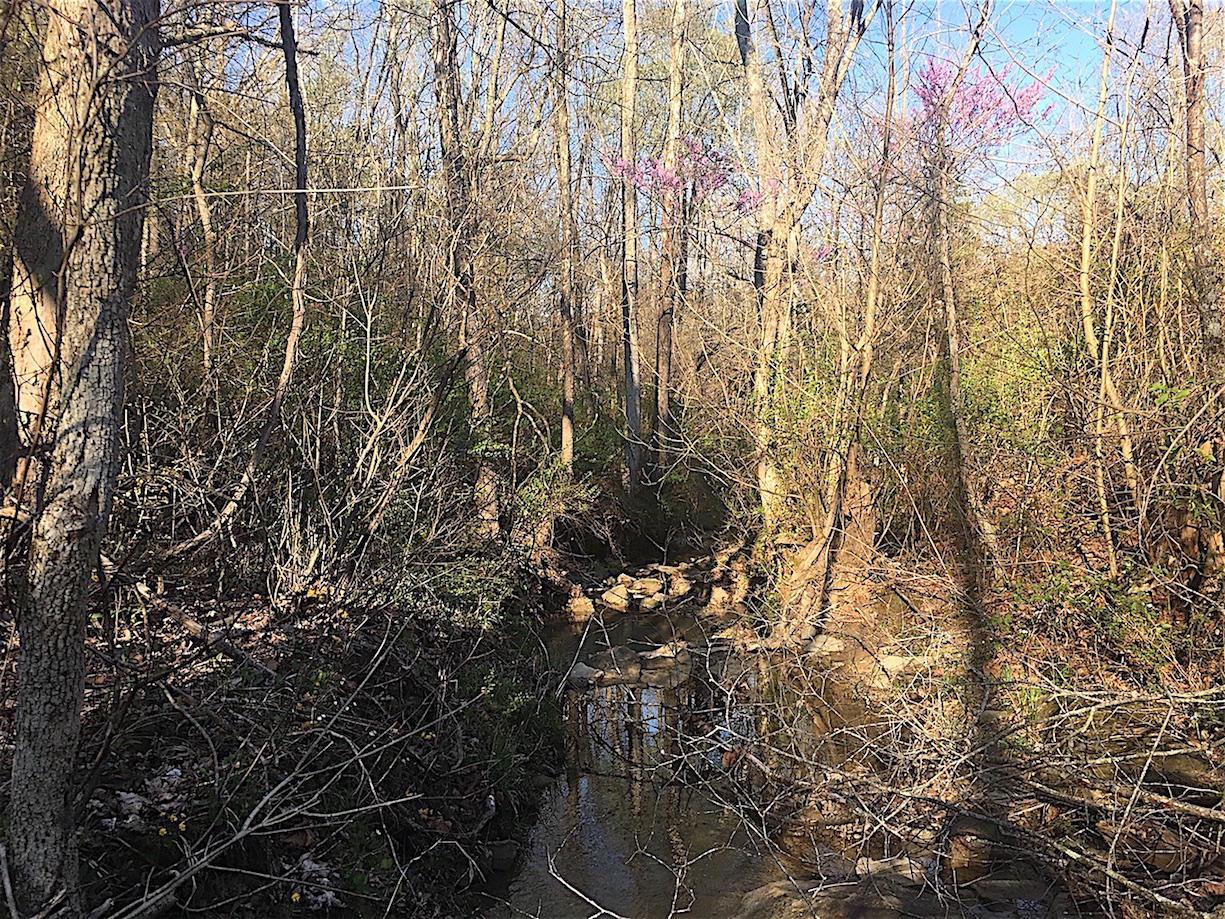56184 Log Pile Road Ray, OH 45672 - Photo 24 of 35