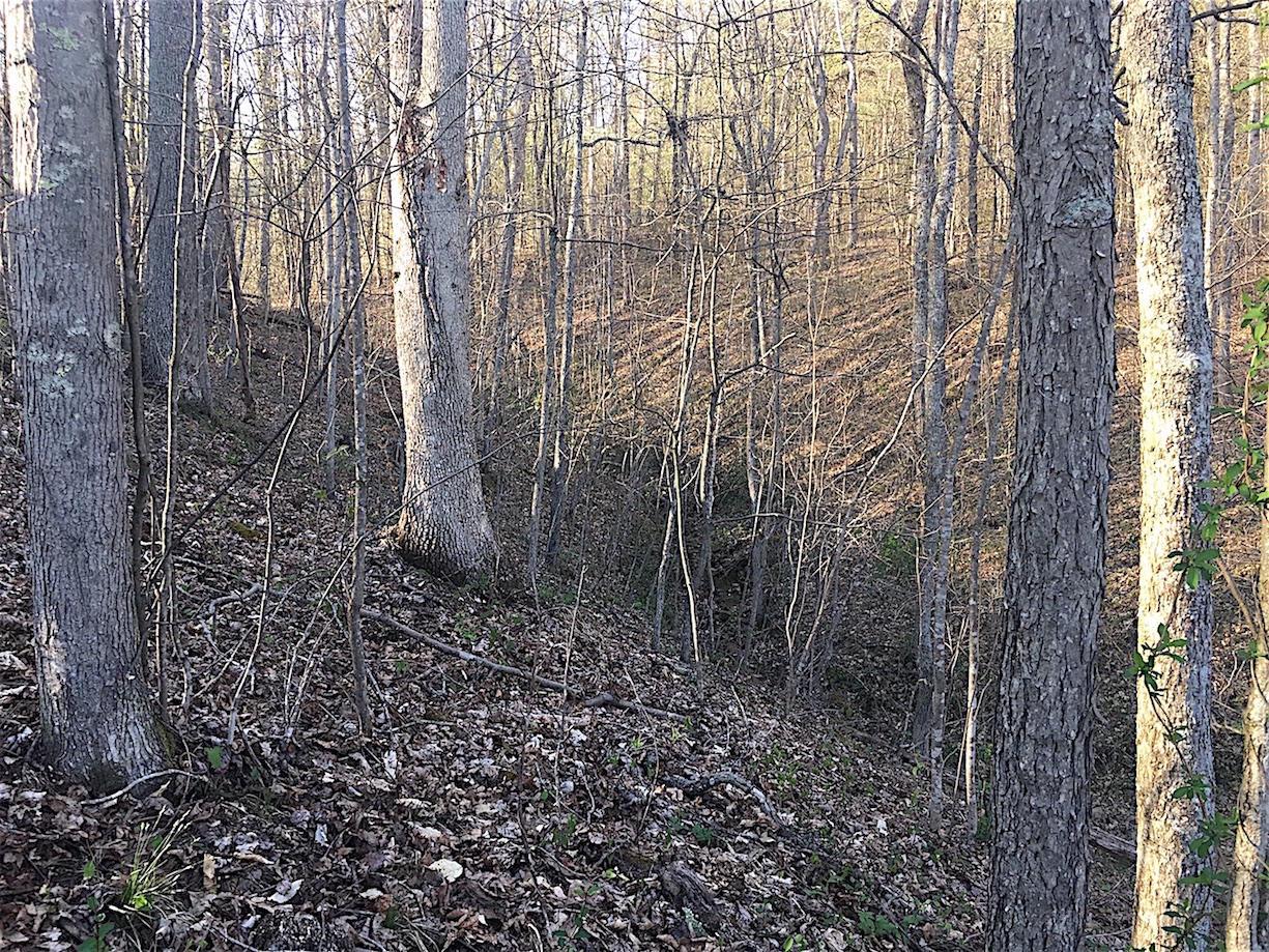 56184 Log Pile Road Ray, OH 45672 - Photo 26 of 35