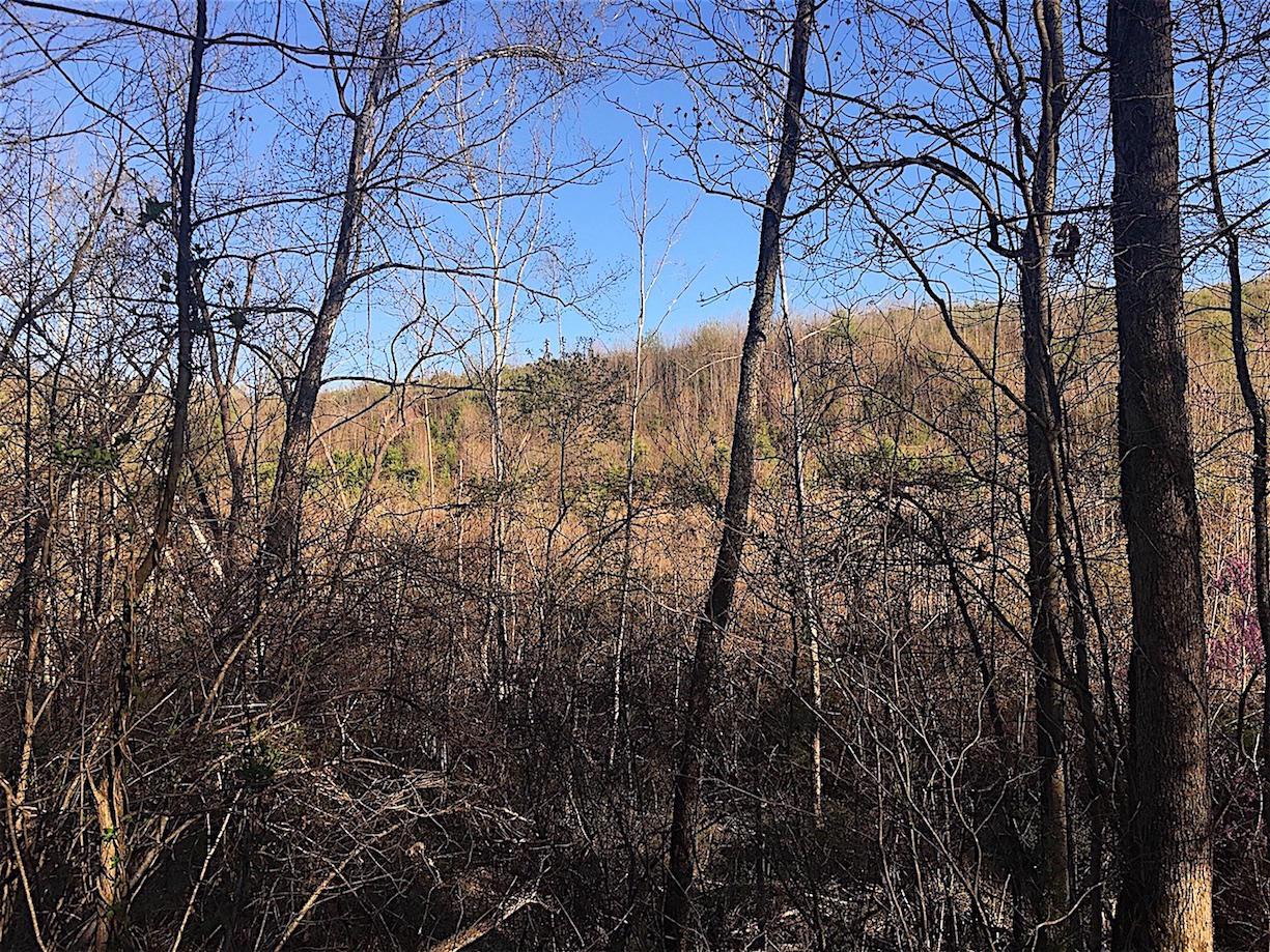 56184 Log Pile Road Ray, OH 45672 - Photo 27 of 35