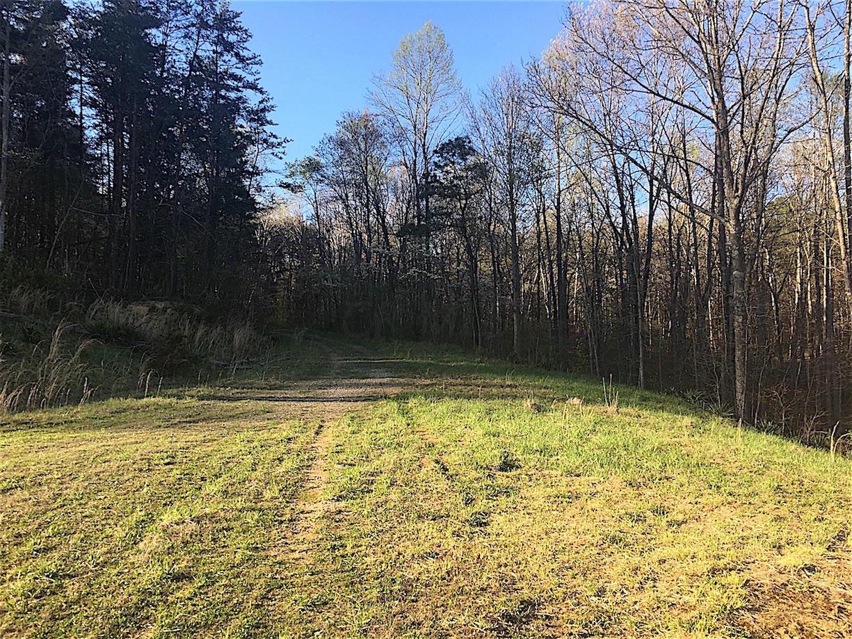 56184 Log Pile Road Ray, OH 45672 - Photo 29 of 35