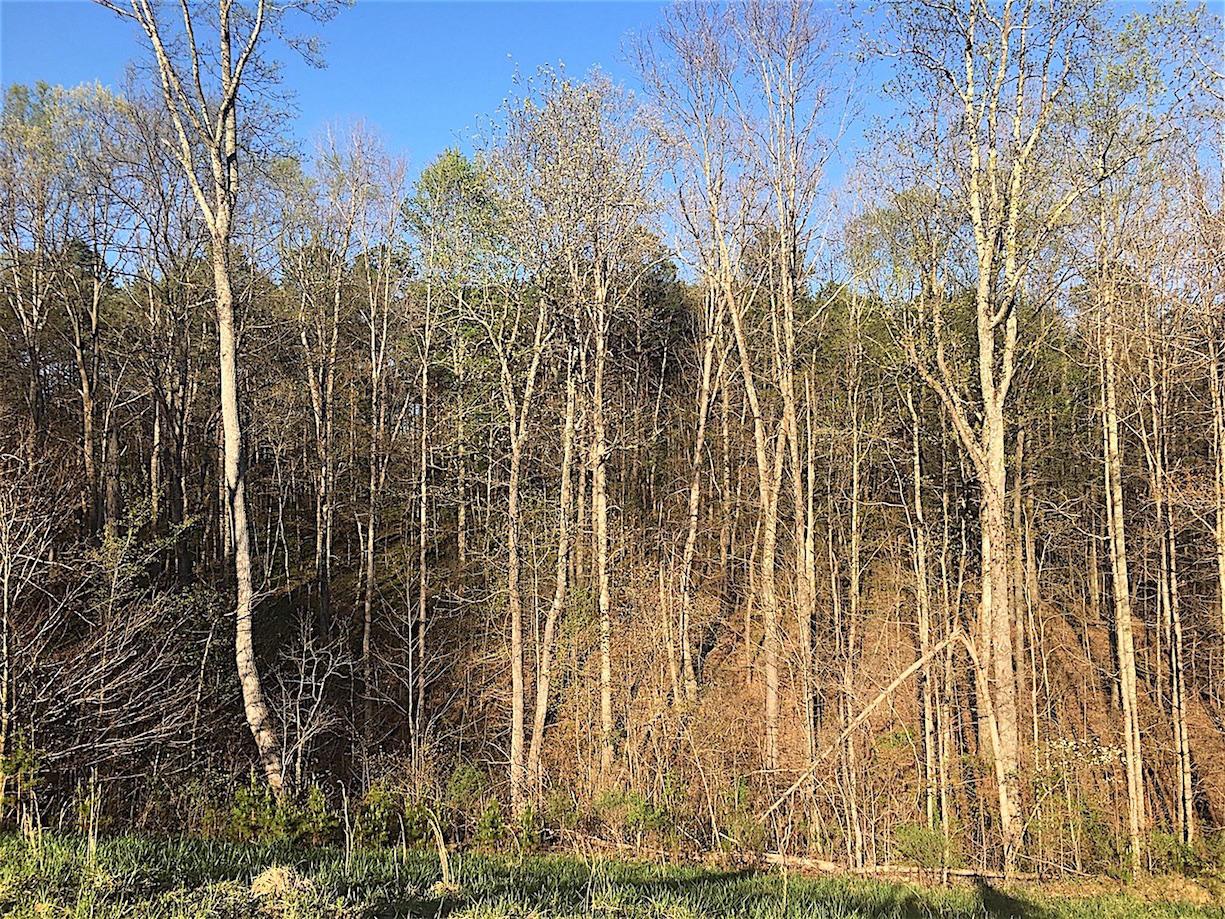 56184 Log Pile Road Ray, OH 45672 - Photo 30 of 35