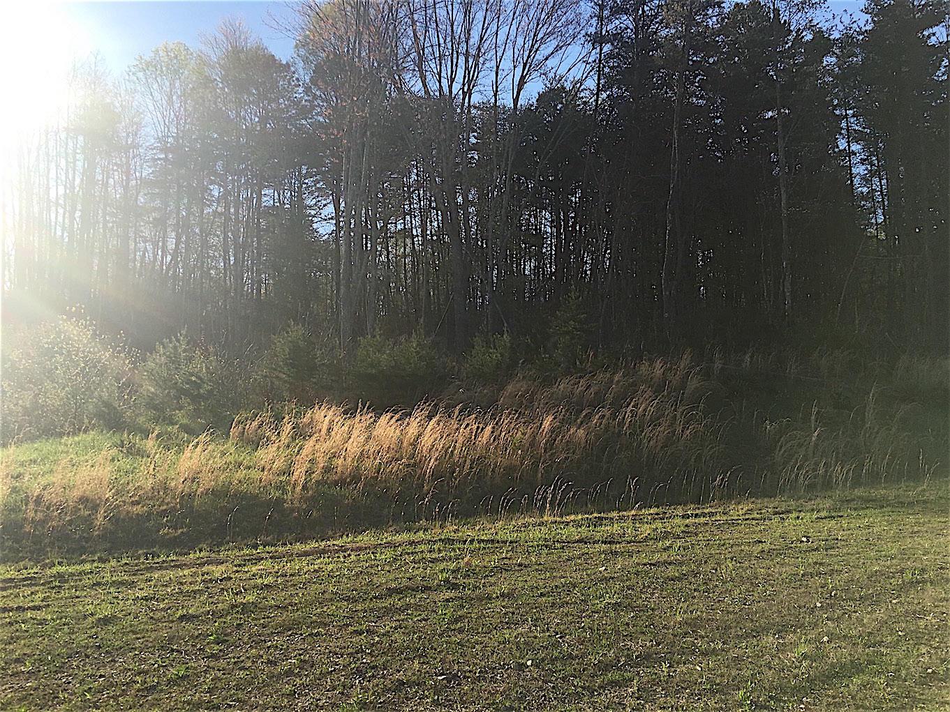 56184 Log Pile Road Ray, OH 45672 - Photo 31 of 35