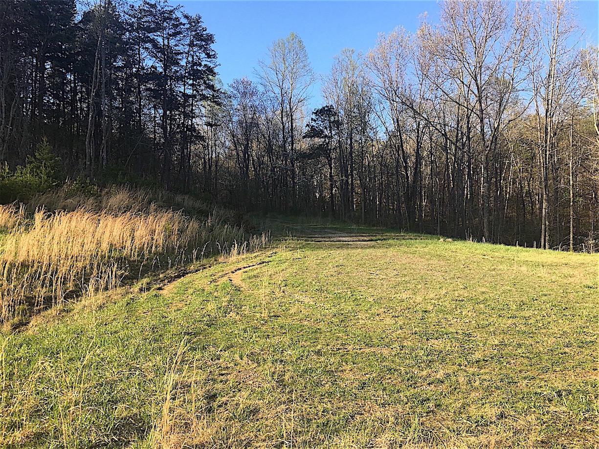 56184 Log Pile Road Ray, OH 45672 - Photo 33 of 35