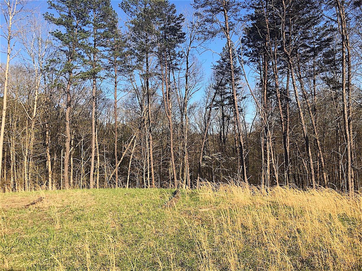 56184 Log Pile Road Ray, OH 45672 - Photo 34 of 35