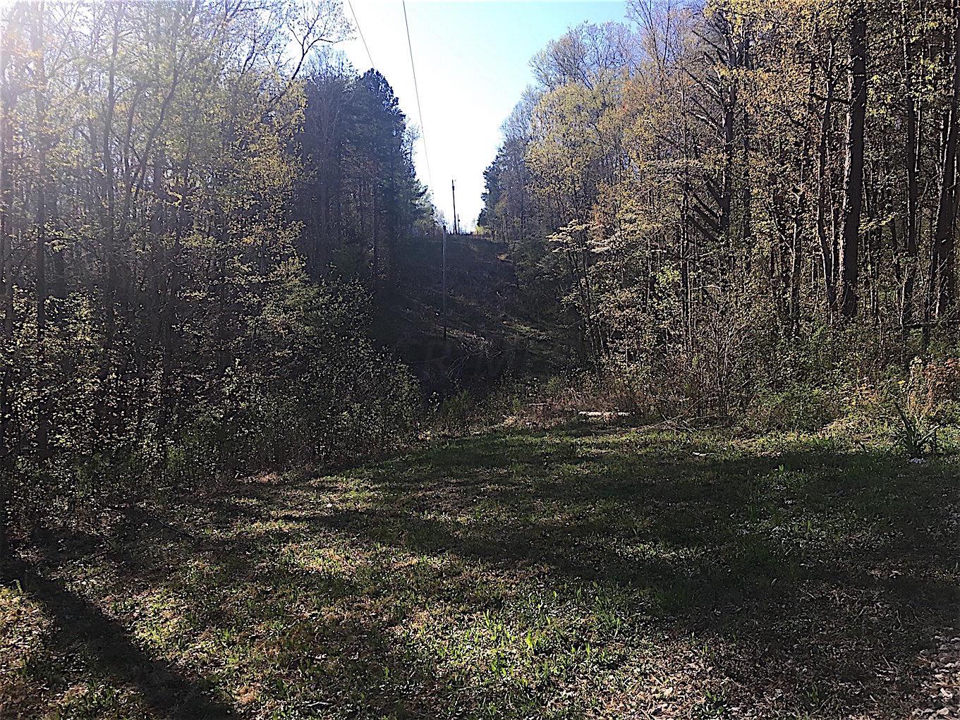 56184 Log Pile Road Ray, OH 45672 - Photo 5 of 35