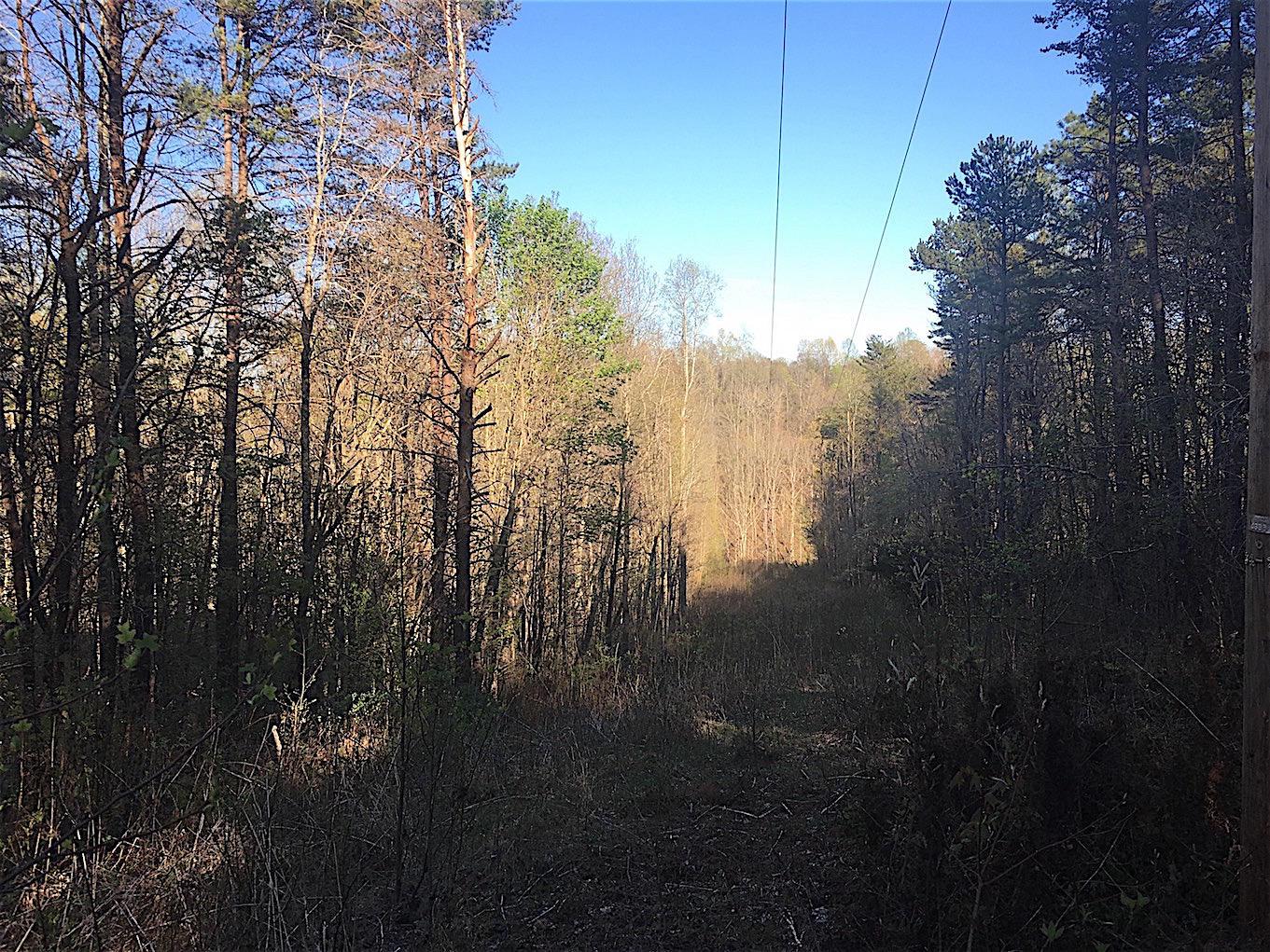 56184 Log Pile Road Ray, OH 45672 - Photo 8 of 35