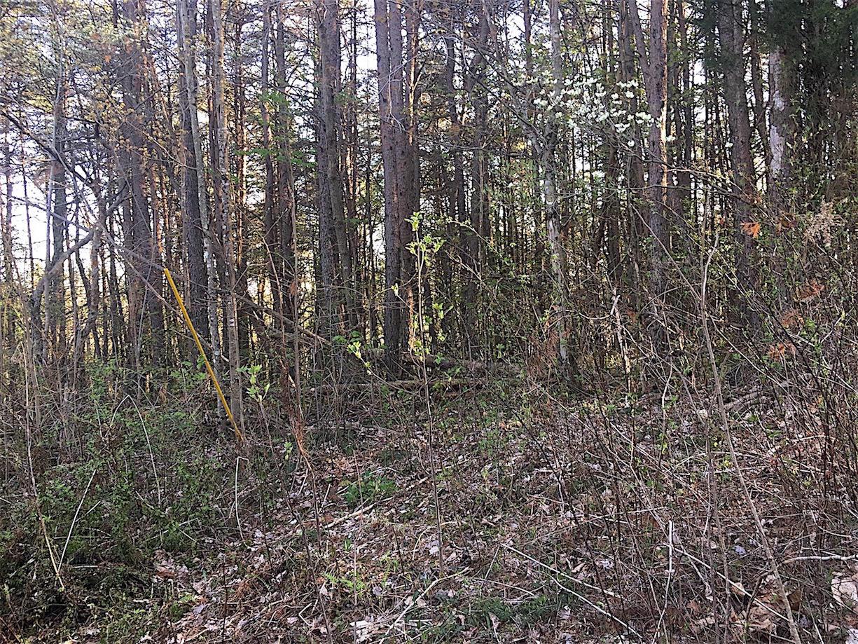 56184 Log Pile Road Ray, OH 45672 - Photo 10 of 35