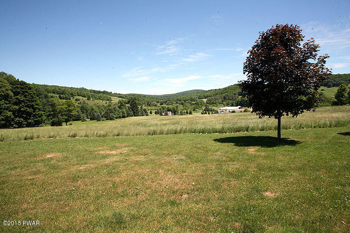 230 Baker Hill Road Damascus, PA 18415 - Photo 44 of 71 06 19 18 055