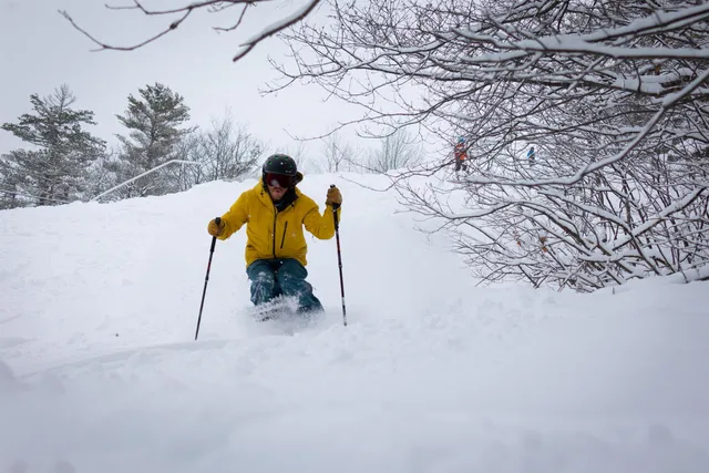 $1,095,000 | 239 Skimobile Road, Unit 314, Conway, NH 03860