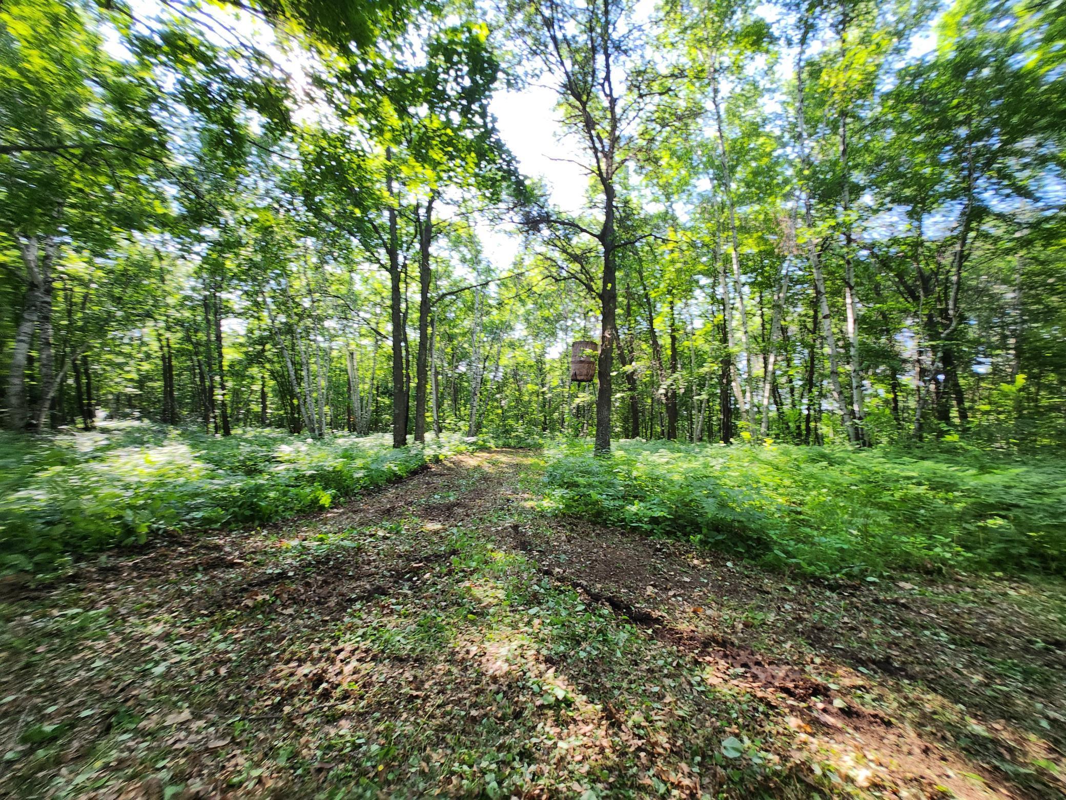 Tbd Tbd Nokay Hall Road Brainerd, MN 56401 - Photo 20 of 31