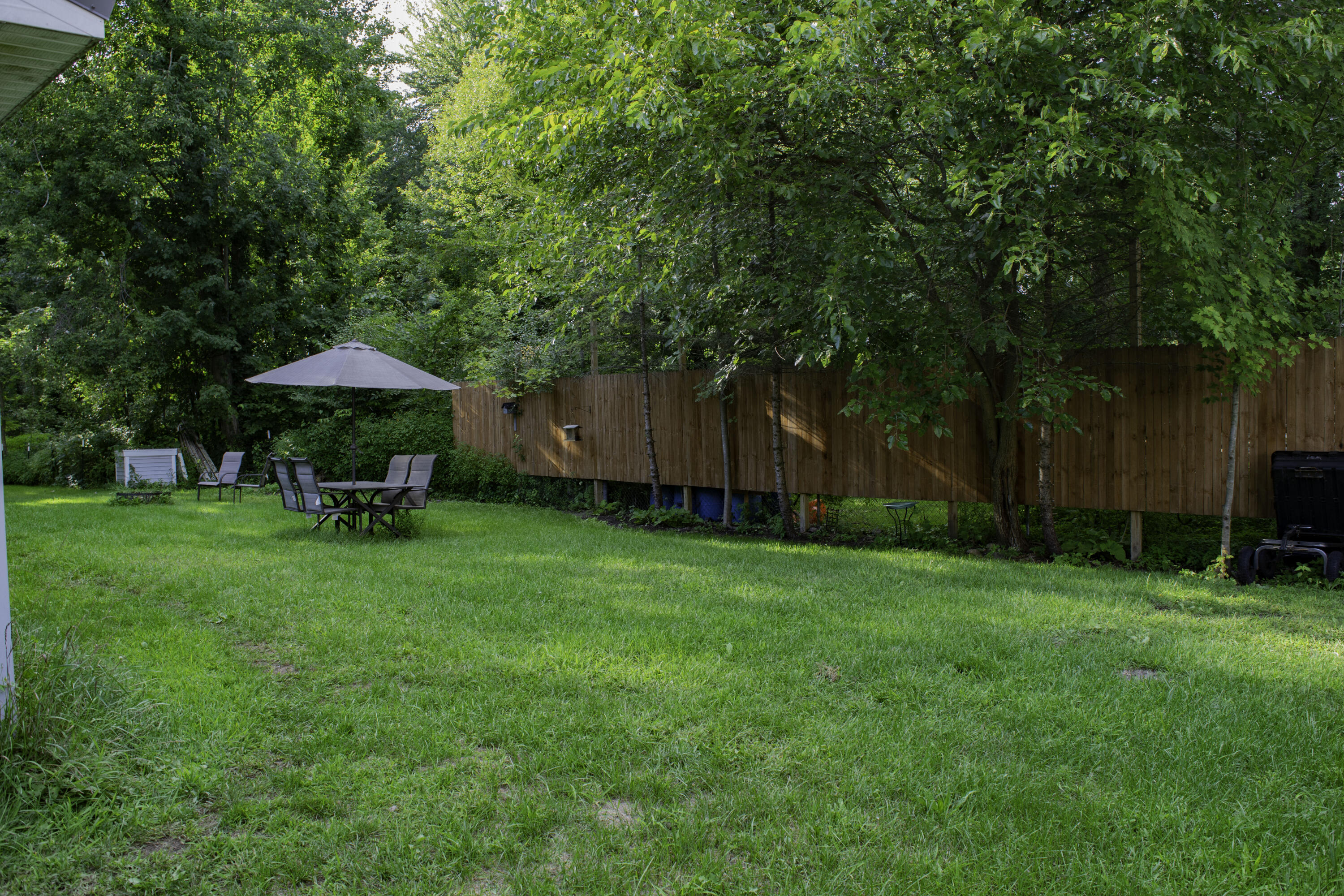 9231 East Colby Road Crystal, MI 48818 - Photo 23 of 25 DSC_7195-Edit