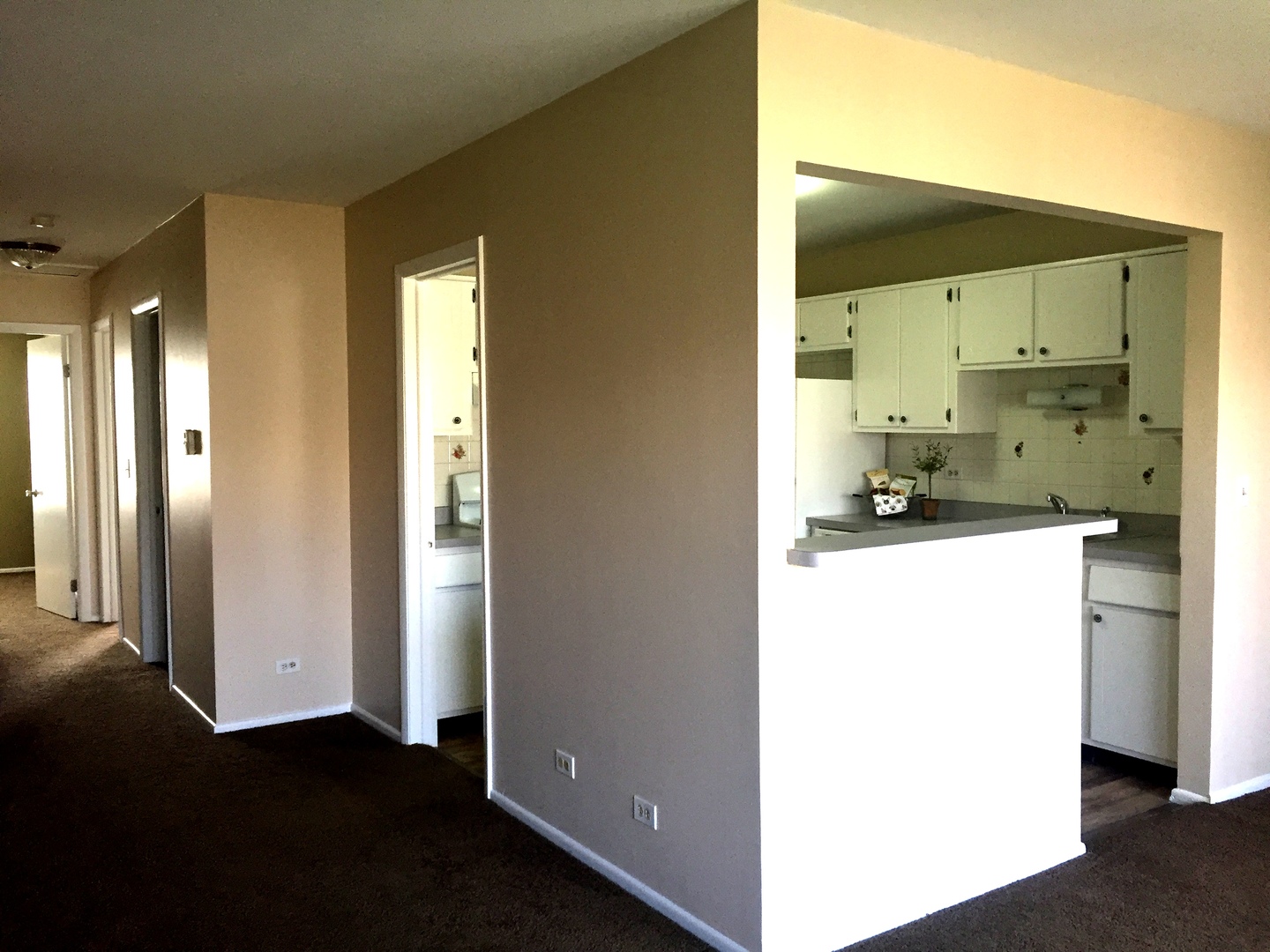 1550 7 Pines Road, Unit 2C Schaumburg, IL 60193 - Photo 12 of 25