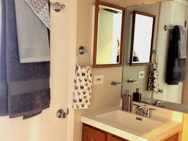 1550 7 Pines Road, Unit 2C Schaumburg, IL 60193 - Photo 13 of 25