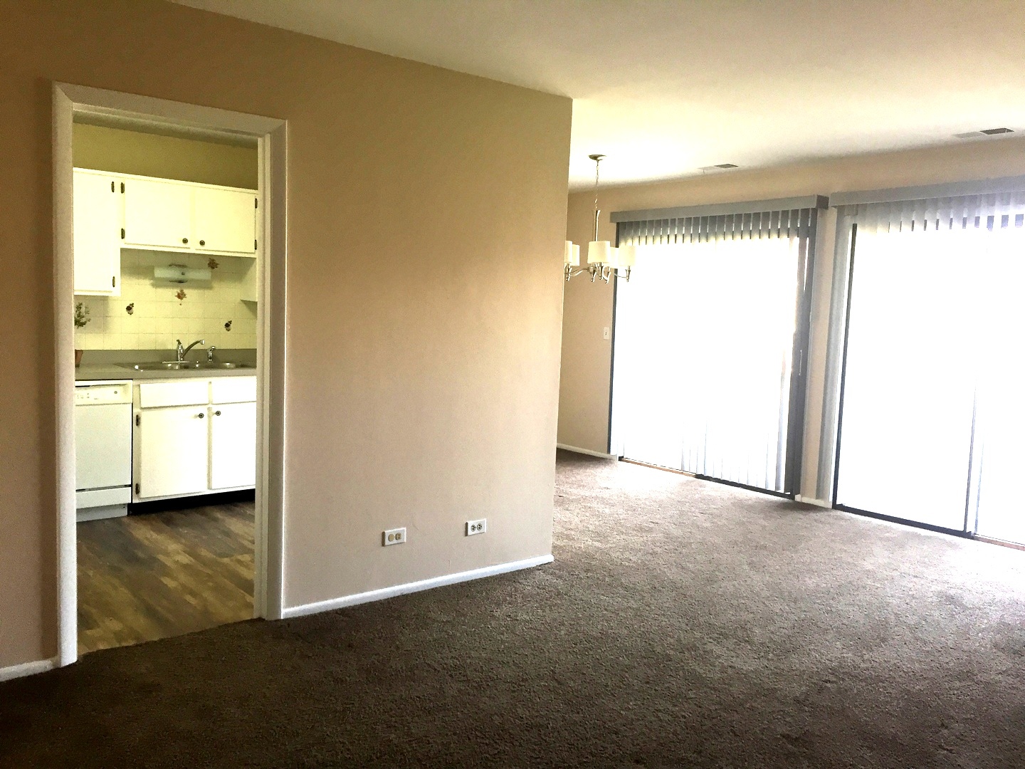 1550 7 Pines Road, Unit 2C Schaumburg, IL 60193 - Photo 4 of 25