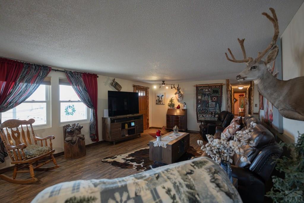 3538 County Road 110 Rye, CO 81069 - Photo 6 of 43