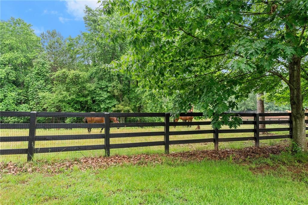 7215 Kelly Bridge Road Dawsonville, GA 30534 - Photo 52 of 83