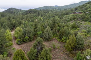 2657 East Oak Tree Drive, Unit 22 Springdale, UT 84767 - Photo 6 of 15 Aerial view of a heavily wooded area and mountains