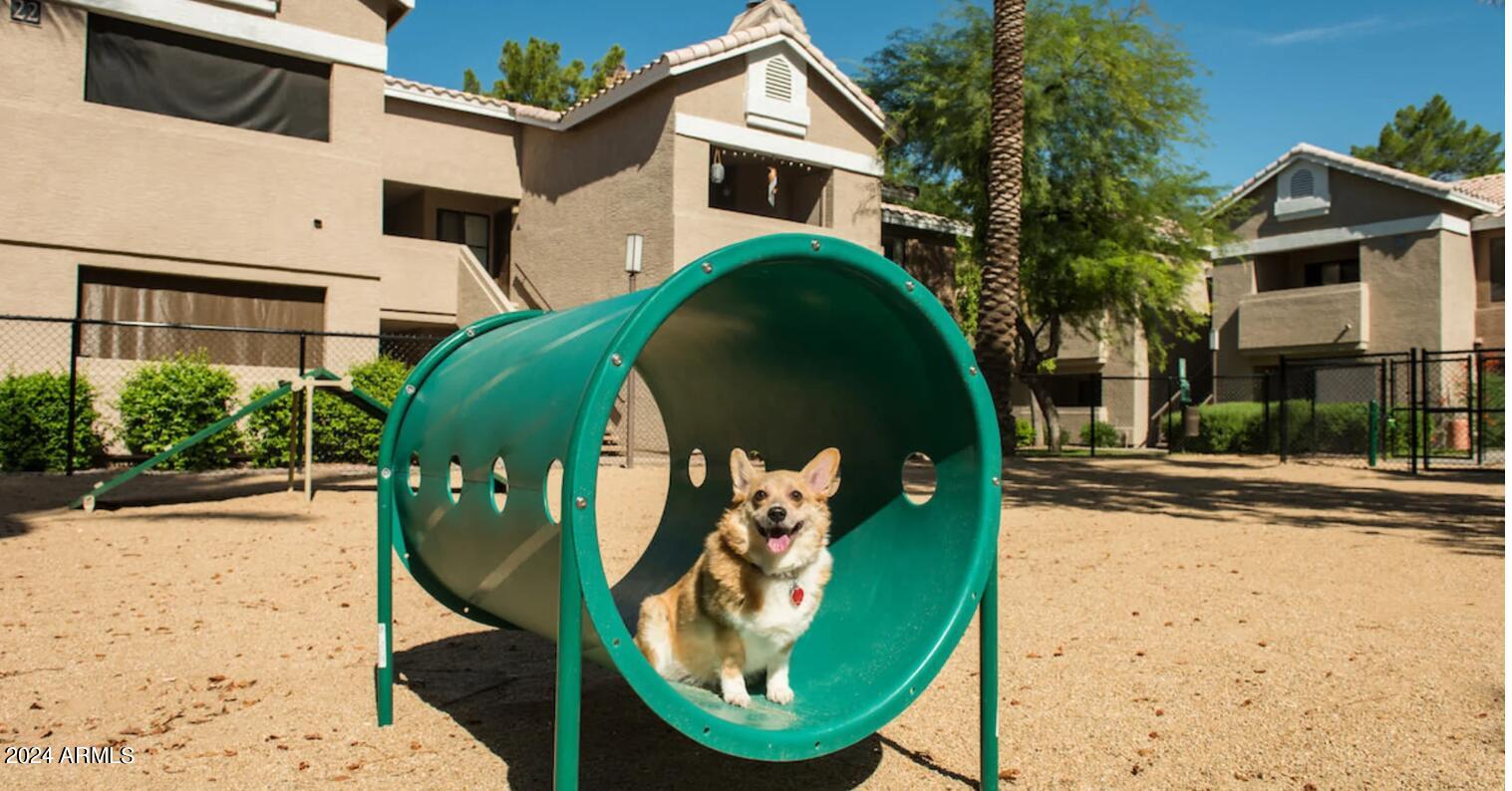 13440 North 44th Street, Unit 2 Phoenix, AZ 85032 - Photo 13 of 15 Dog Park