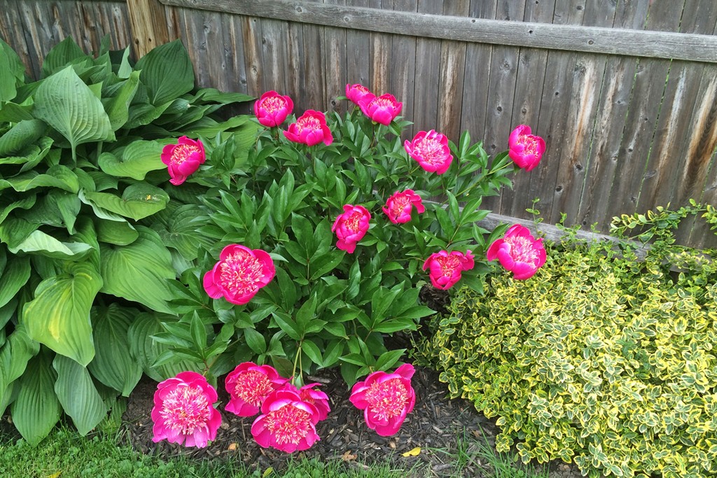 346 Merrimac Street Newburyport, MA 01950 - Photo 27 of 30