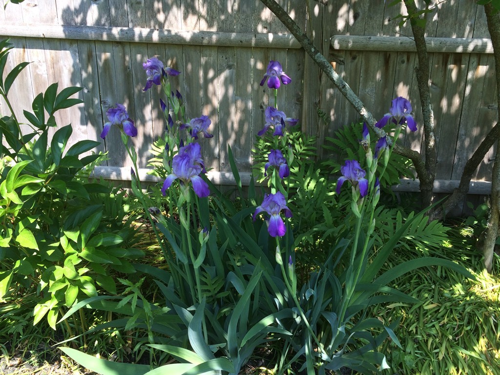 346 Merrimac Street Newburyport, MA 01950 - Photo 28 of 30