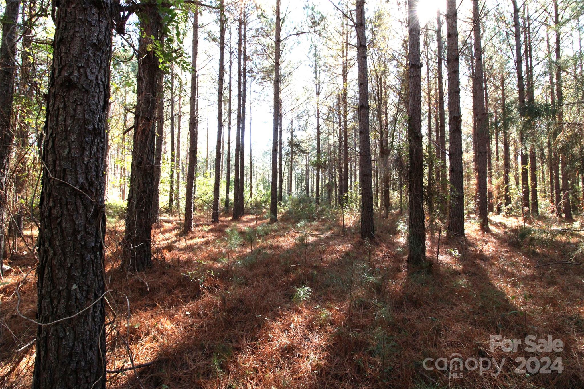 7-ac Lot 3 7-ac Road Clover, SC 29710 - Photo 2 of 7