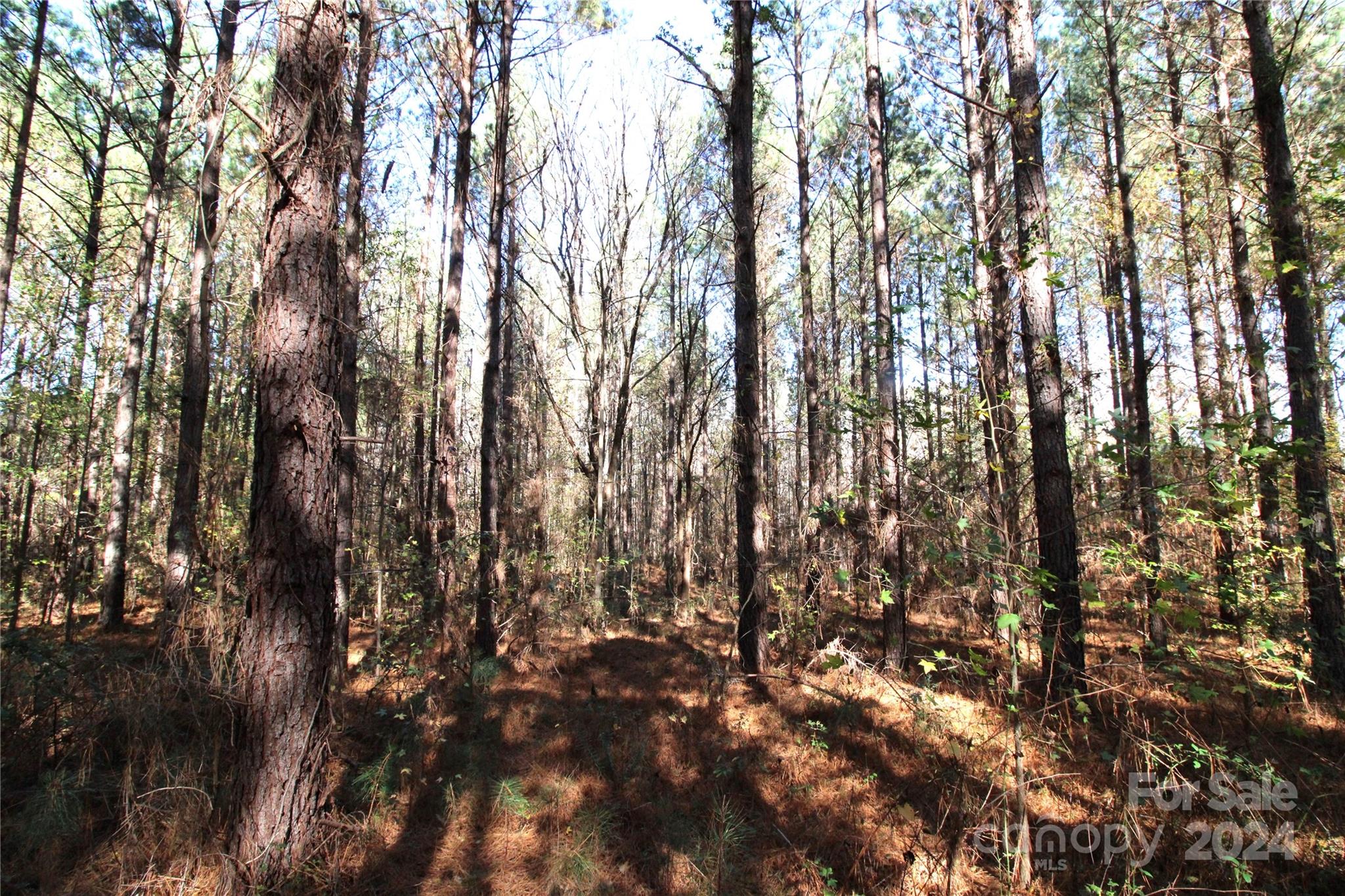 7-ac Lot 3 7-ac Road Clover, SC 29710 - Photo 3 of 7