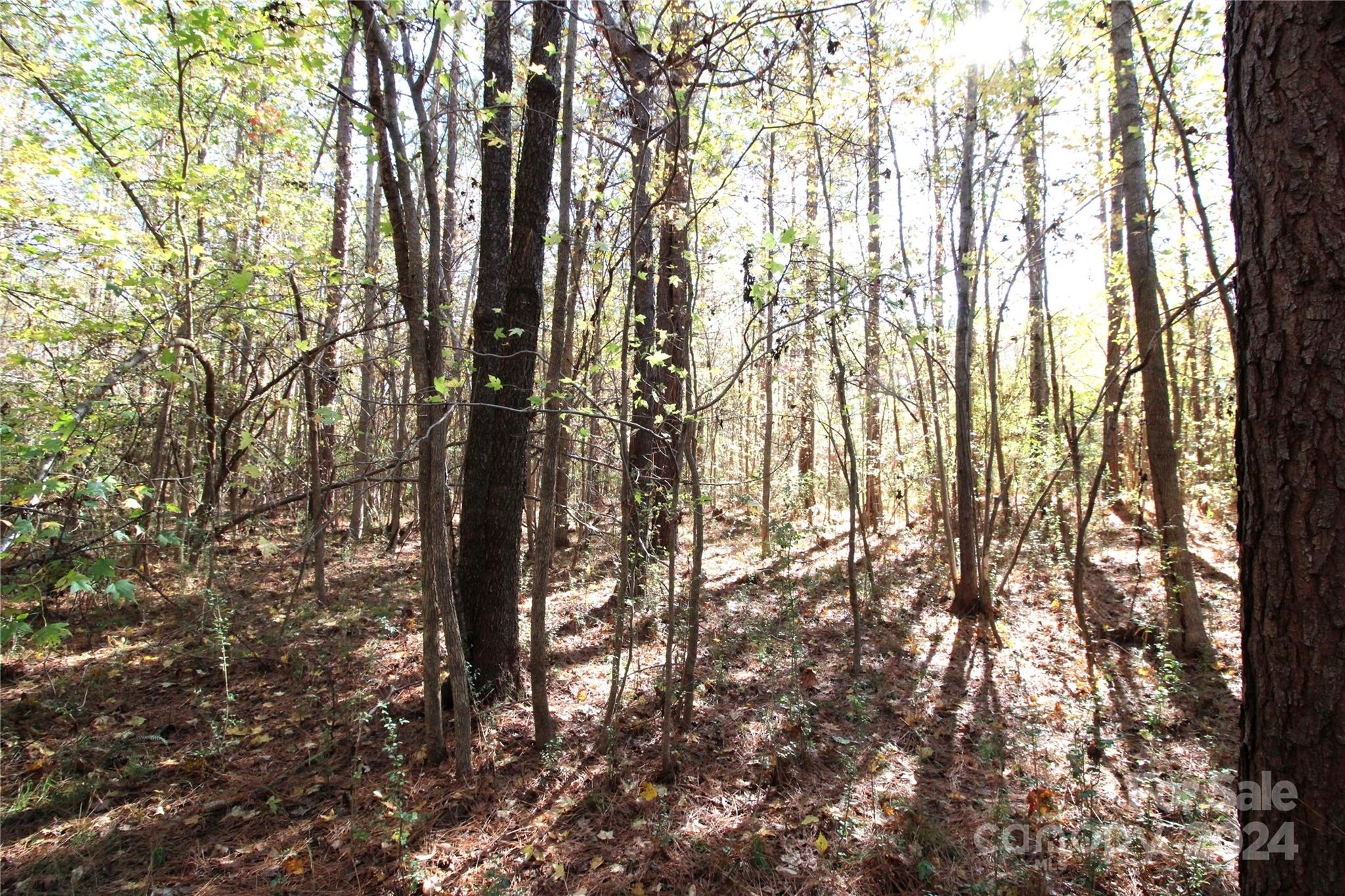 7-ac Lot 3 7-ac Road Clover, SC 29710 - Photo 4 of 7