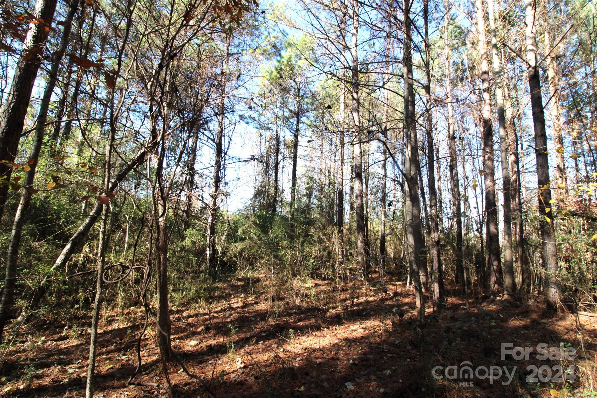 7-ac Lot 3 7-ac Road Clover, SC 29710 - Photo 5 of 7