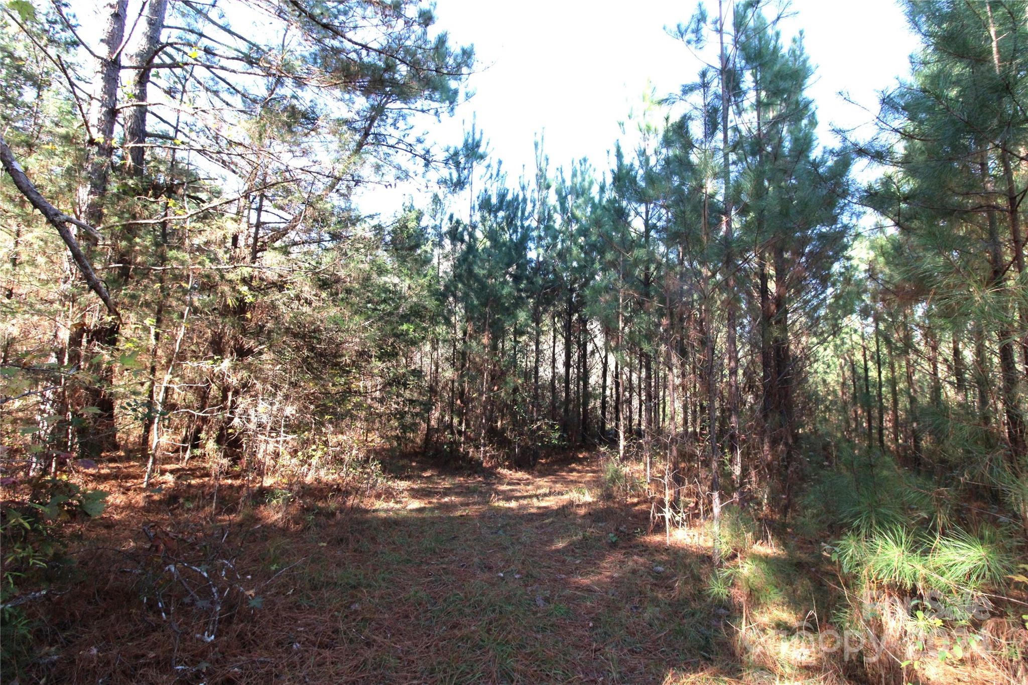 7-ac Lot 3 7-ac Road Clover, SC 29710 - Photo 6 of 7
