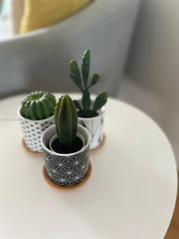 $3,100 | 5880 Collins Avenue, Unit 1007, Miami Beach, FL 33140