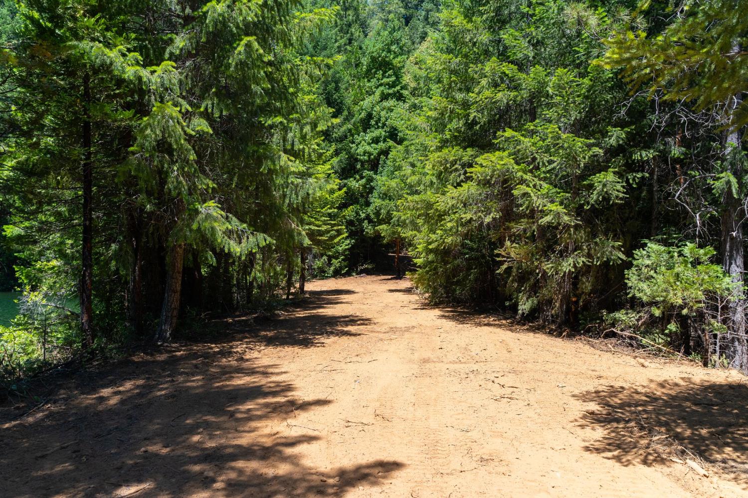10075 White Fir Road Georgetown, CA 95634 - Photo 9 of 35