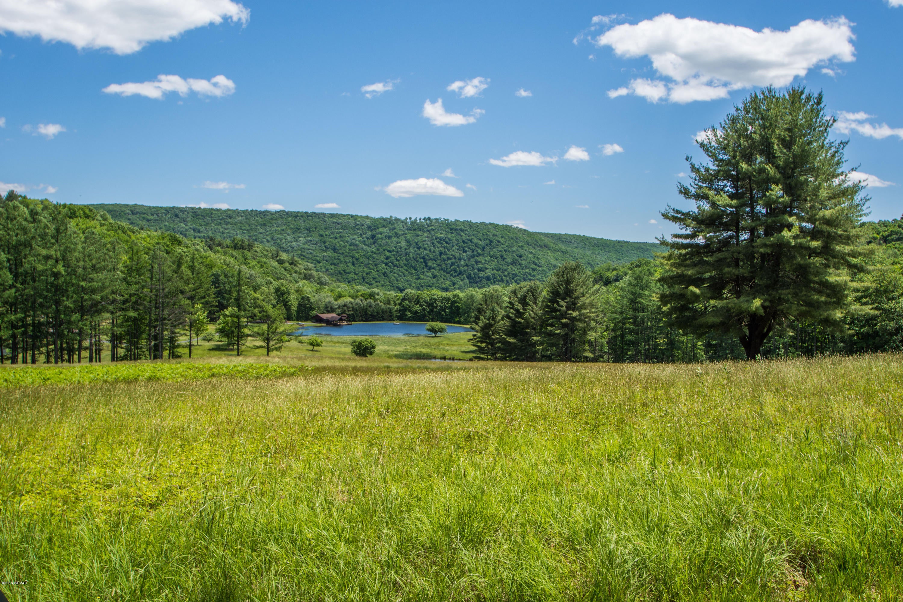 582 Mostellers Road Trout Run, PA 17771 - Photo 48 of 49 Upper Field View 1