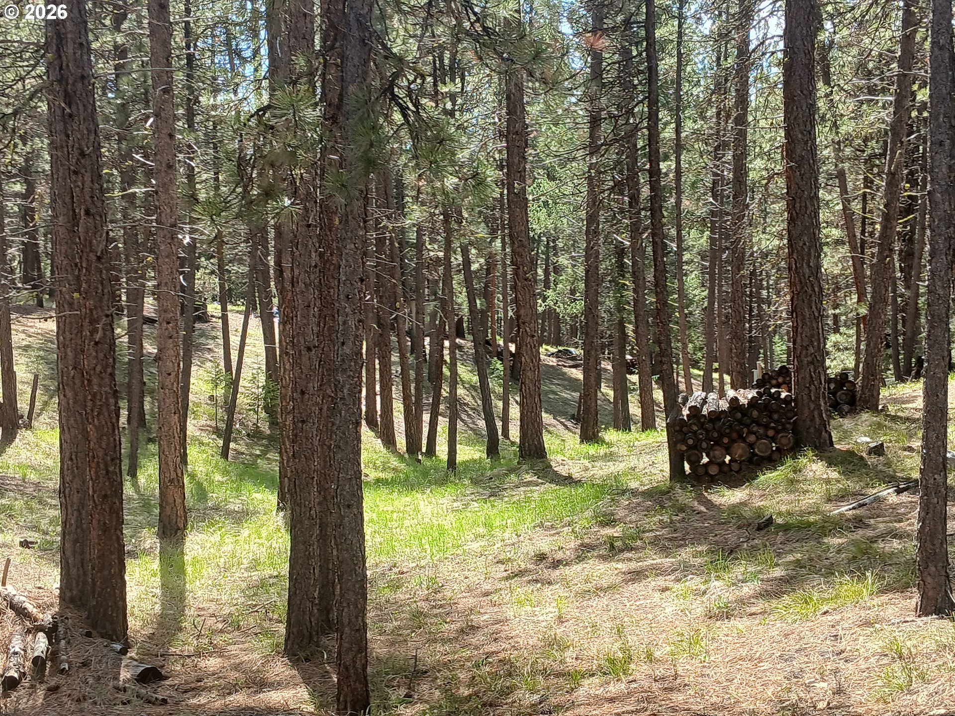 Bear Gulch Road Baker City, OR 97814 - Photo 19 of 27