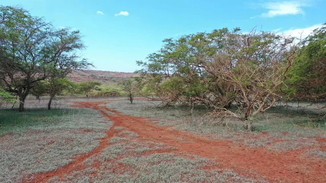 $255,000 | Hao Keehi Place, Unit 222, Maunaloa, HI 96770