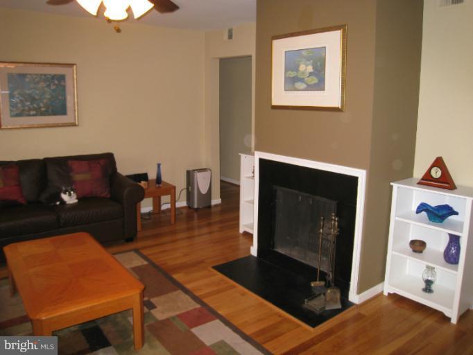 Interior (General)