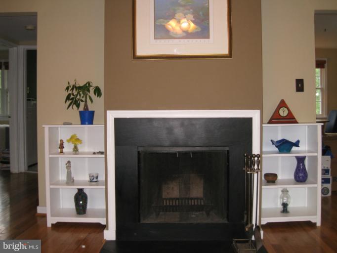 wood burning fireplace
