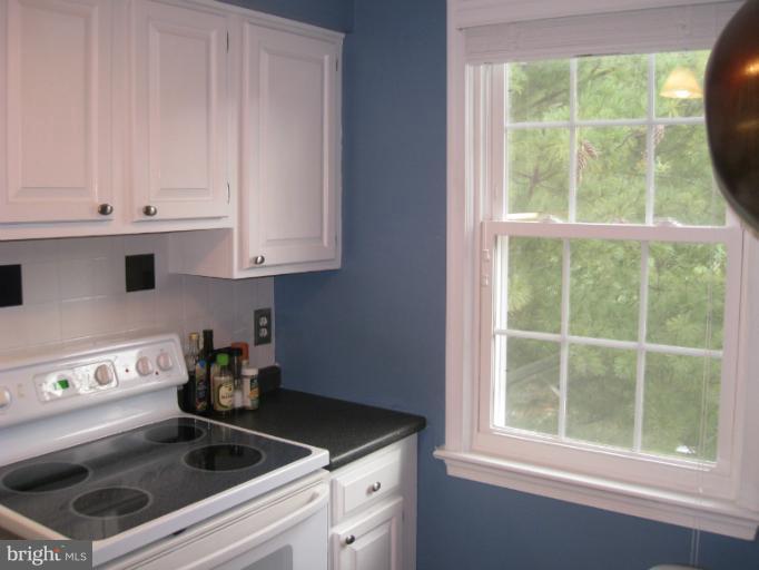2242 Washington Avenue, Unit W301 Silver Spring, MD 20910 - Photo 10 of 19 Kitchen