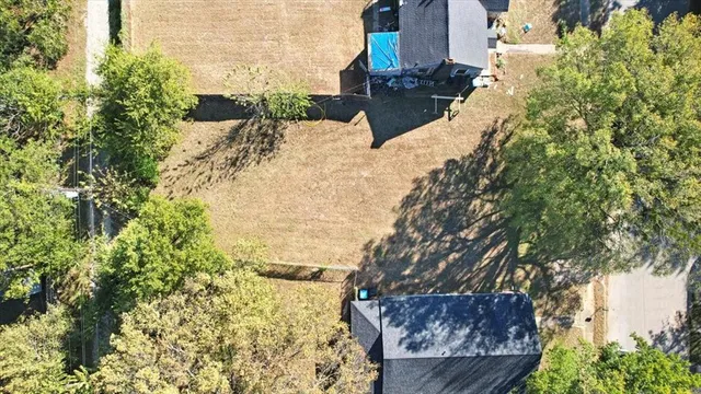 a view of a yard with plants