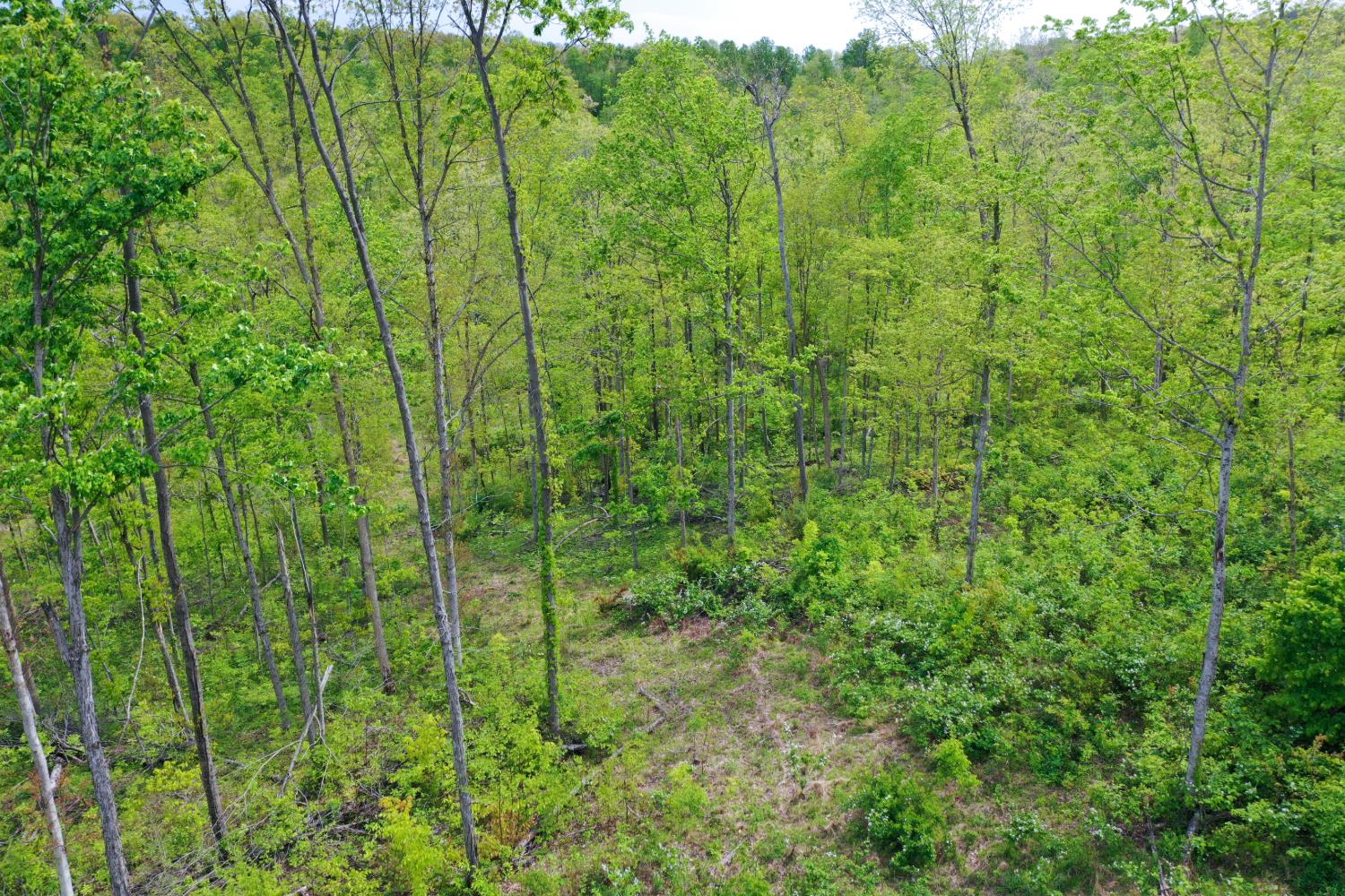2 Us 52 Laurel, IN 47024 - Photo 7 of 23