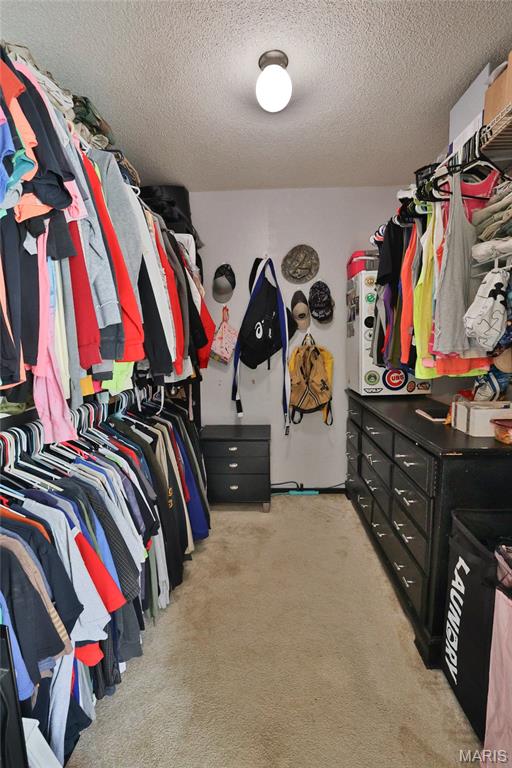 400 Washboard Trail Hillsboro, IL 62049 - Photo 41 of 55