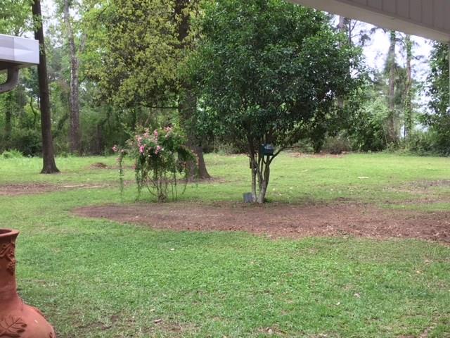 35 North Strange Road Lecompte, LA 71346 - Photo 4 of 11