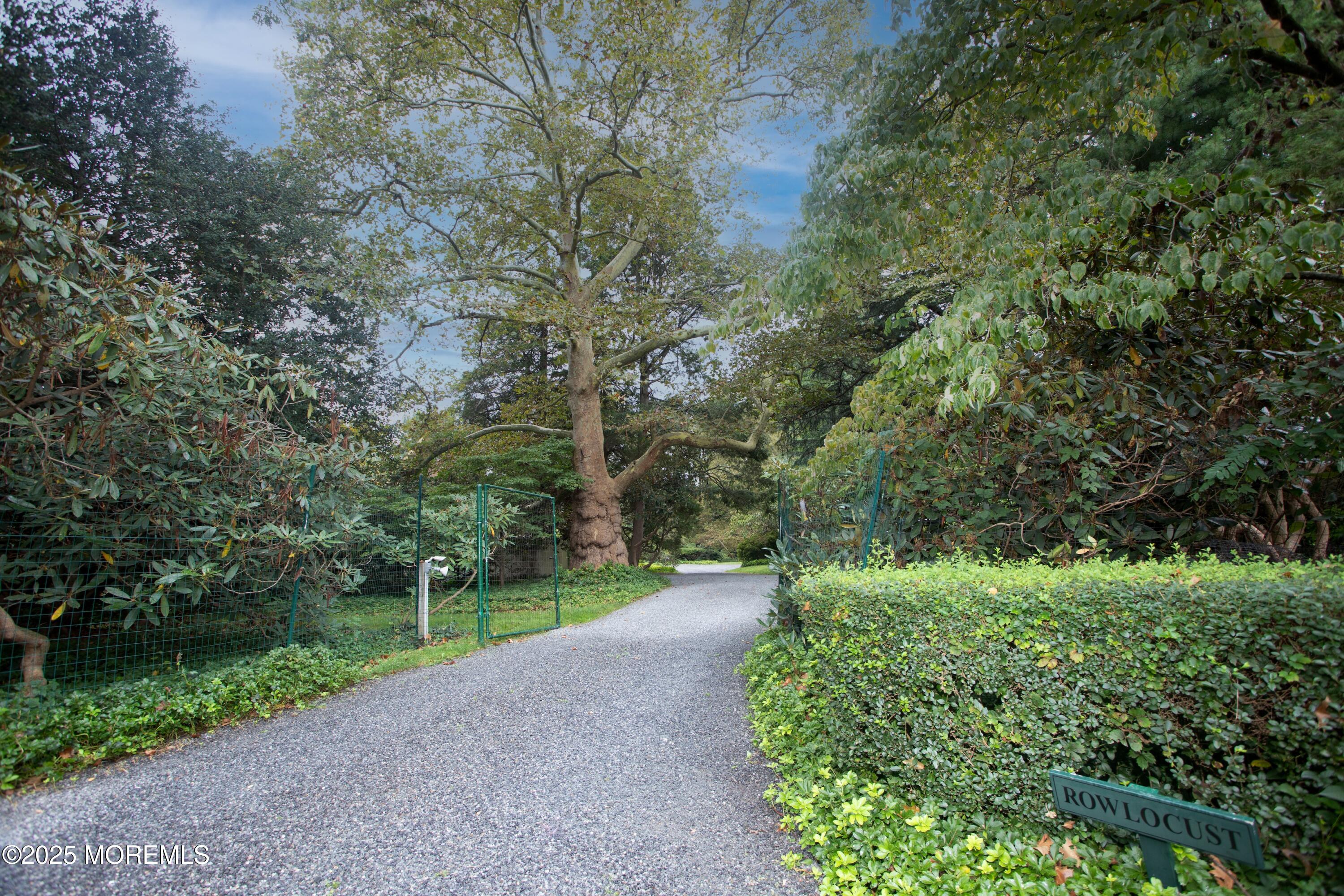 14 Fair Haven Road Rumson, NJ 07760 - Photo 36 of 51 a view of a park with large trees