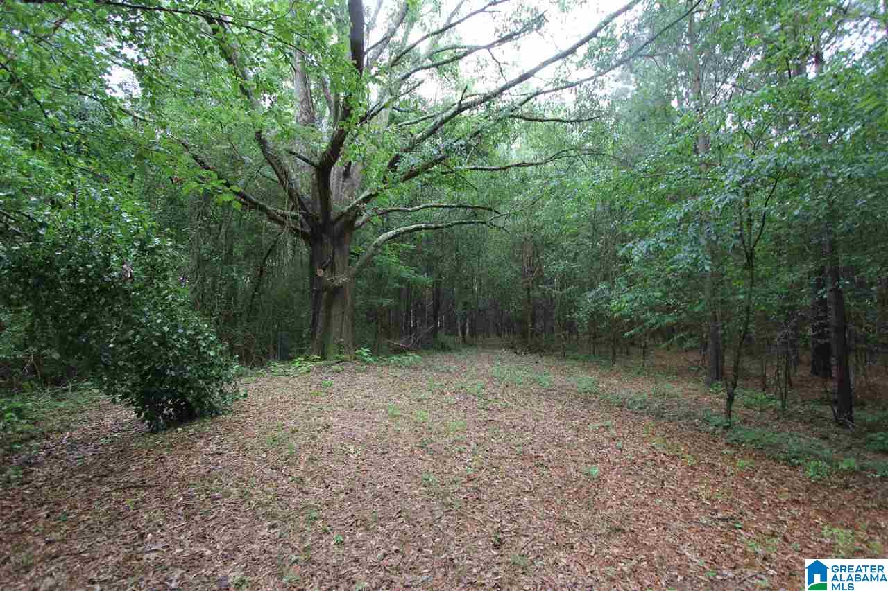 665 Oak Hill Road Oxford, AL 36203 - Photo 25 of 50