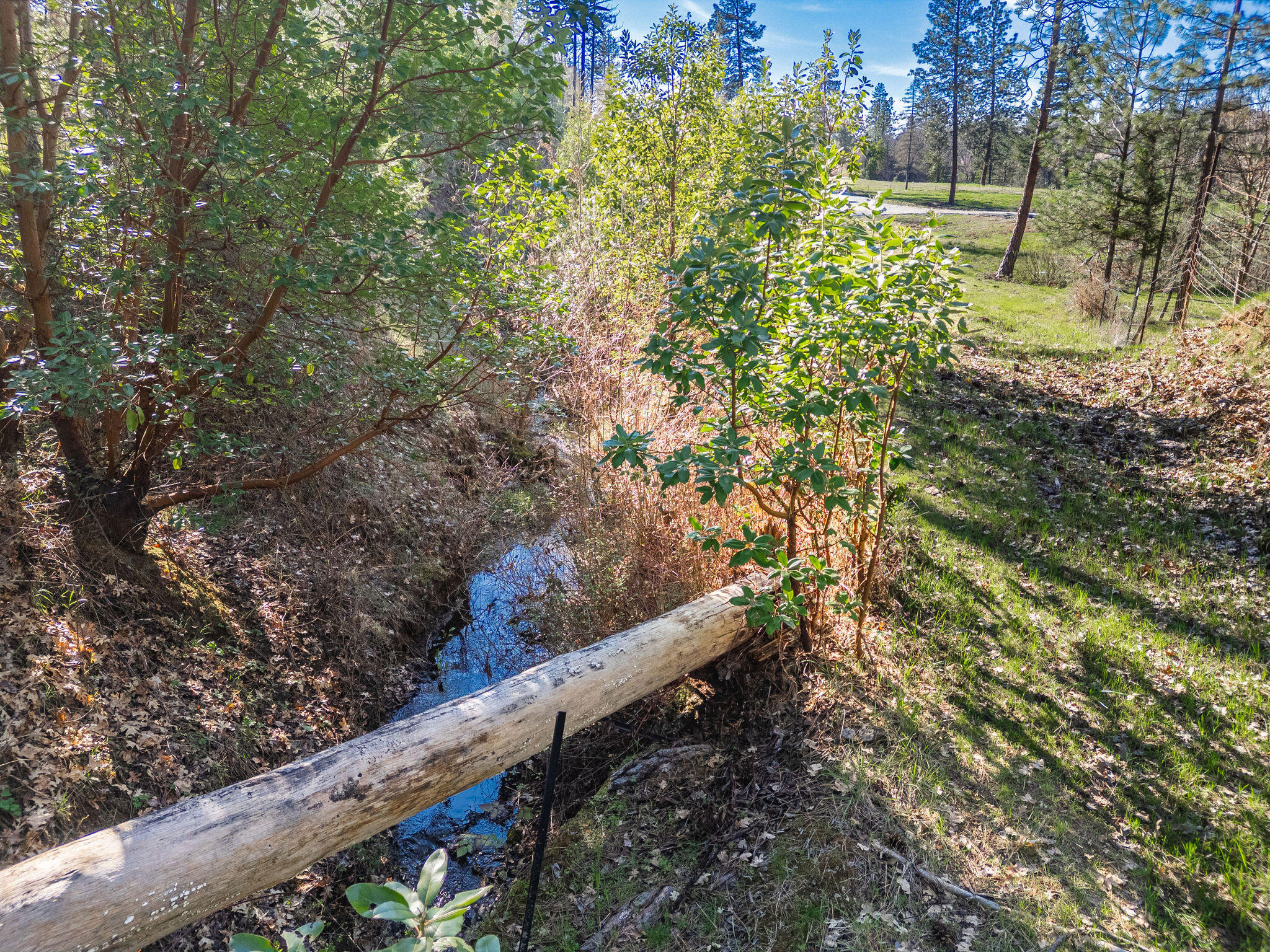 5009 Lane Creek Road, Unit PARCEL 3 Central Point, OR 97502 - Photo 36 of 38