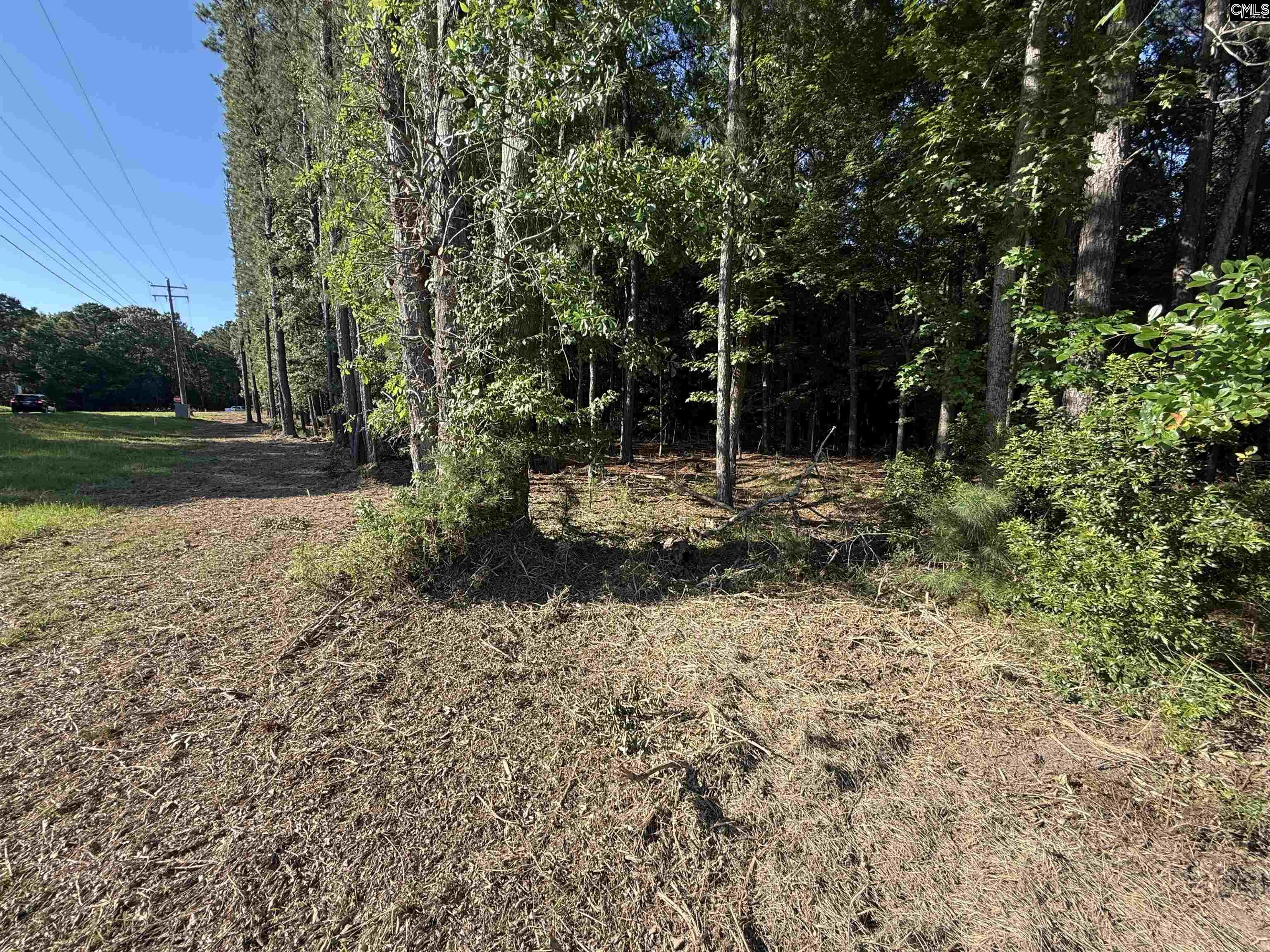 60 Circle H Woods Road Prosperity, SC 29127 - Photo 45 of 53