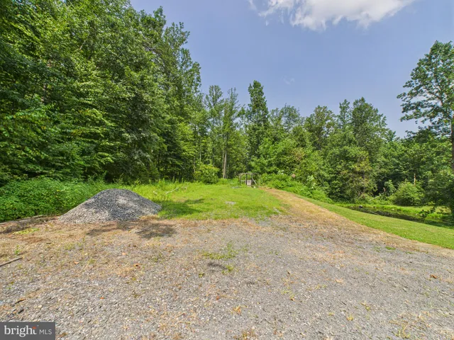 a view of a garden with a tree