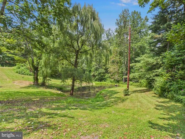 a view of a tree in a yard