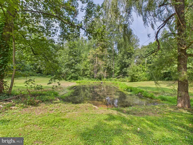 a view of outdoor space and yard