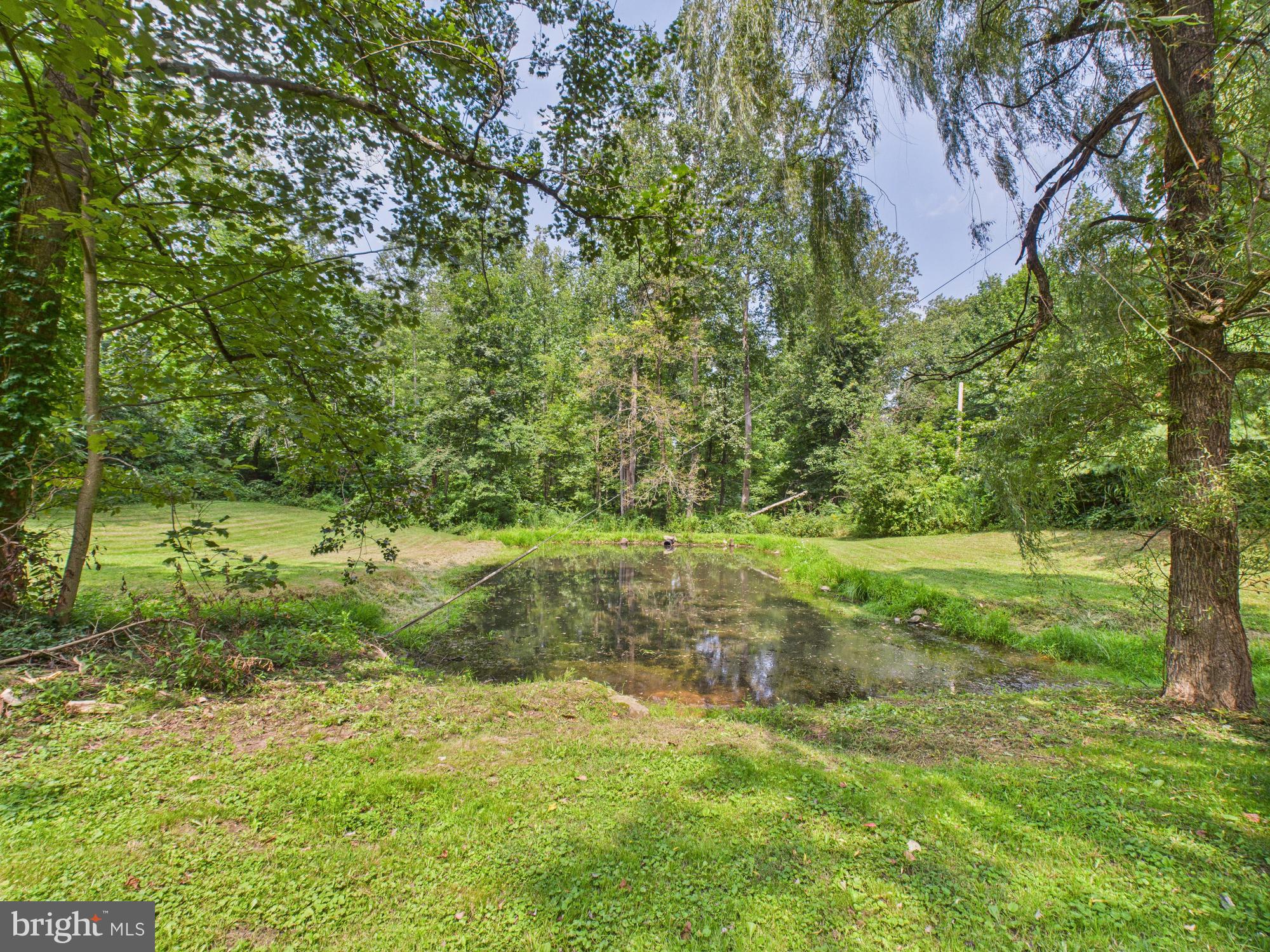 1640 Dunkleberger Road Elliottsburg, PA 17024 - Photo 10 of 39 a view of outdoor space and yard